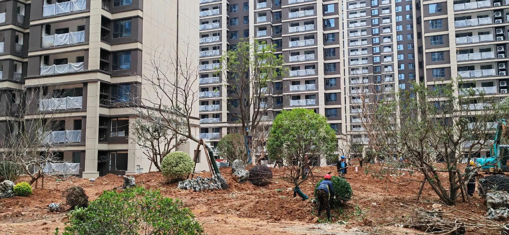 香樟一立，綠意盎然——記小區園林綠化工程施工現場